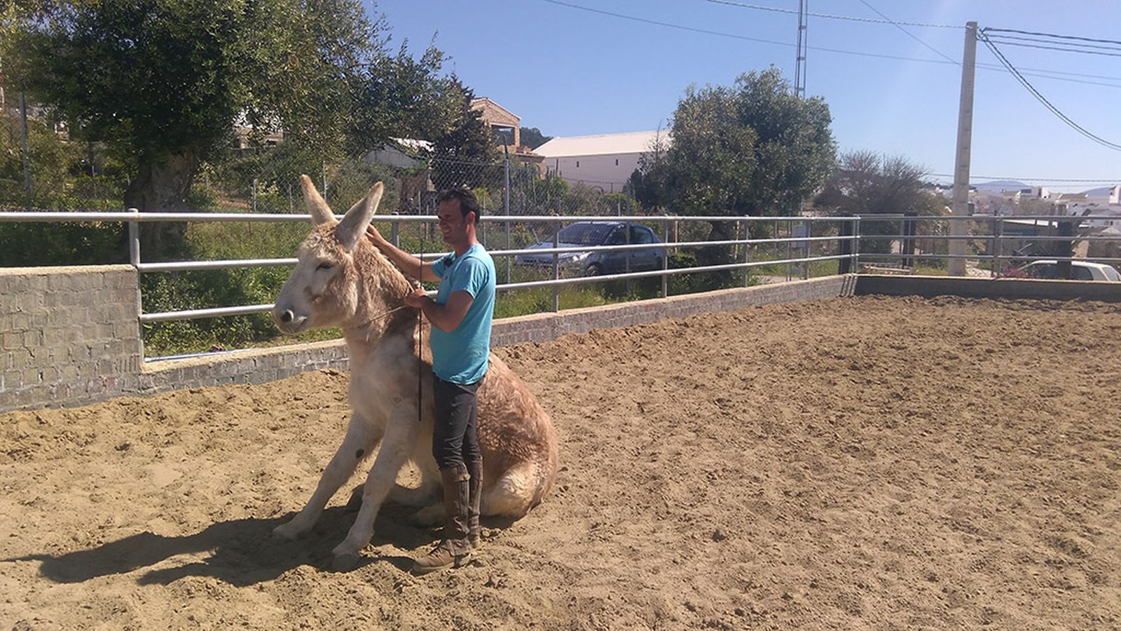 Campechanos, 27 abril (comu)
