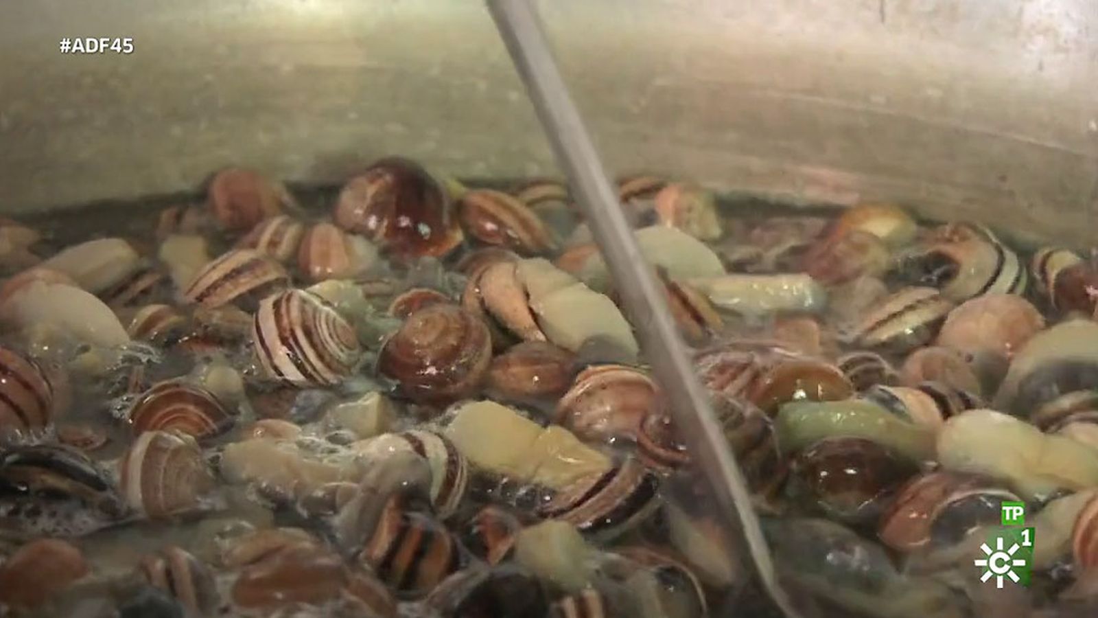 La receta de los mejores caracoles de Riogordo