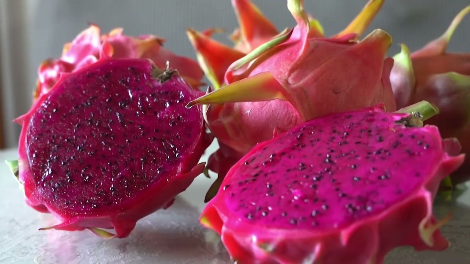 La pitaya, otra fruta exótica que se hace andaluza