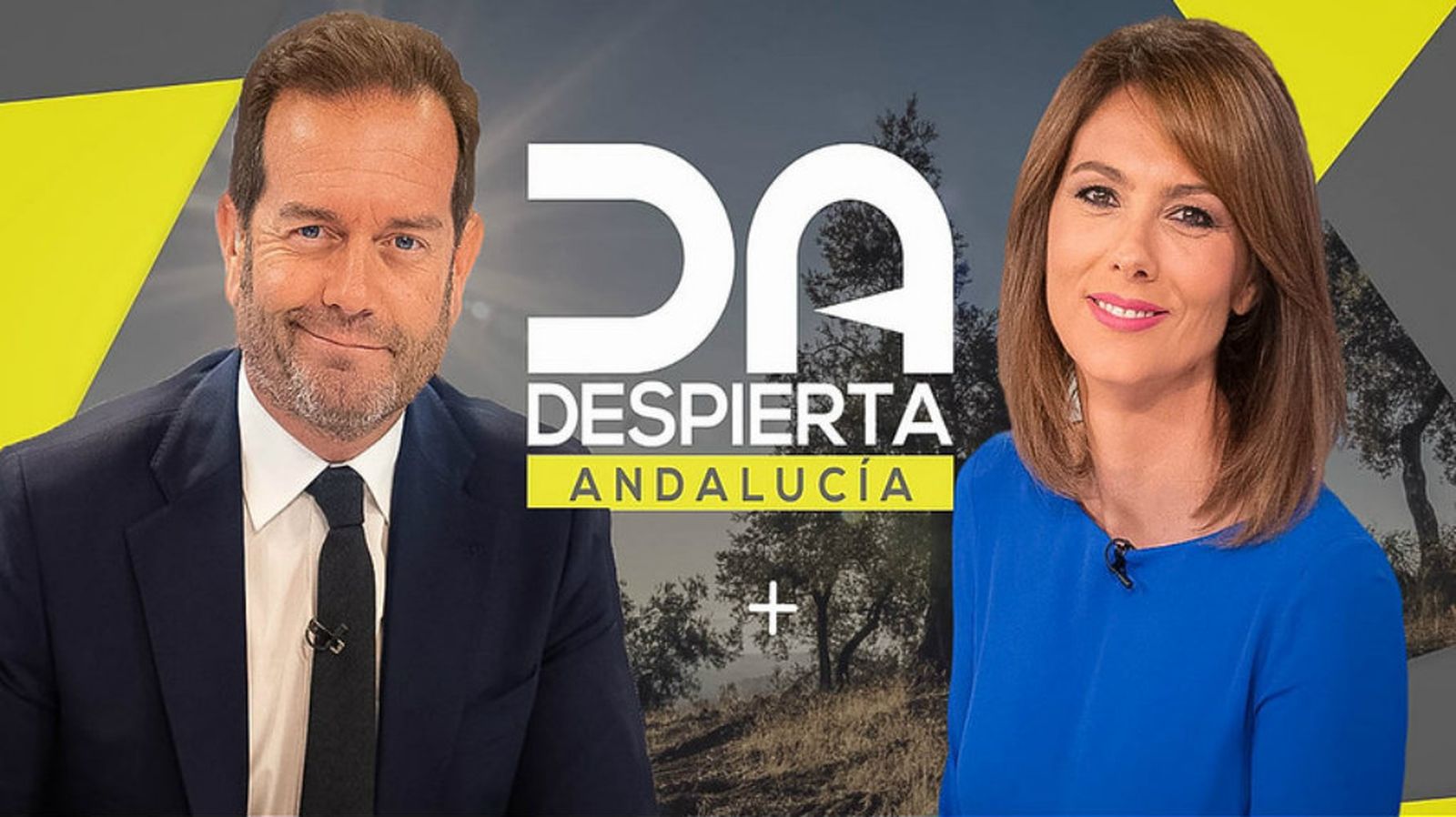 despierta andalucia
