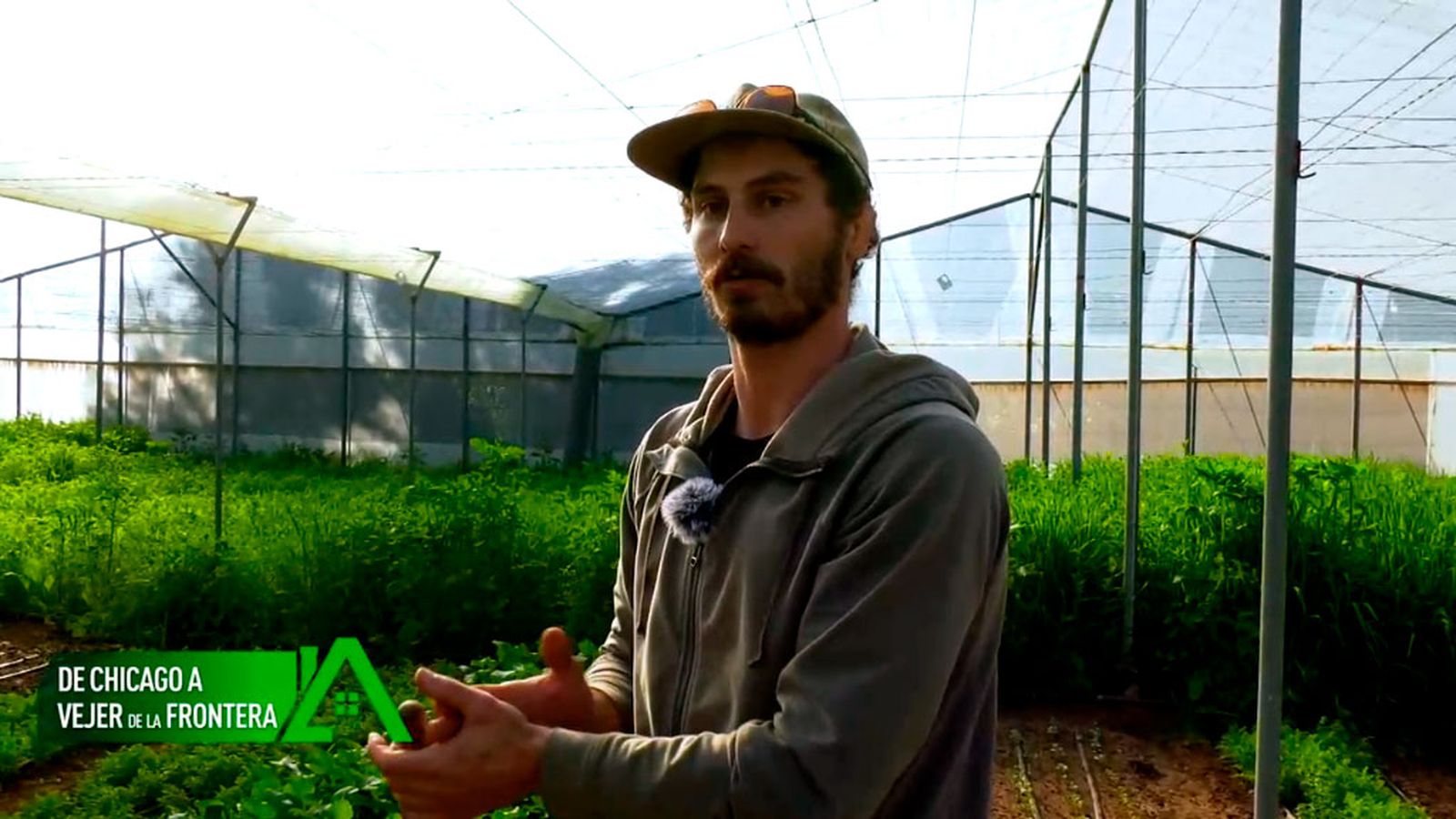 De Chicago a Vejer donde ha puesto en marcha una huerta ecológica