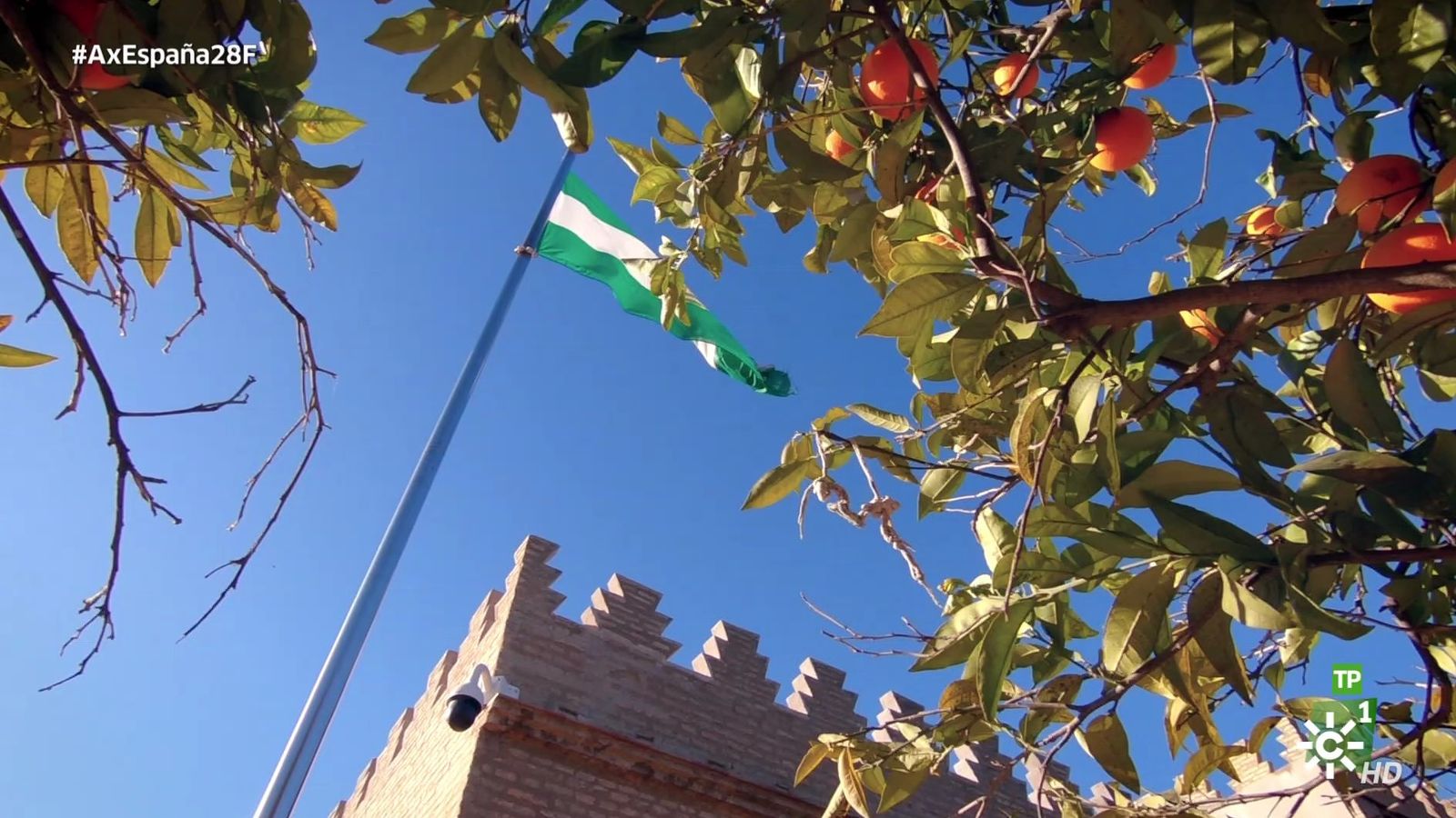 Andaluces por España 28F