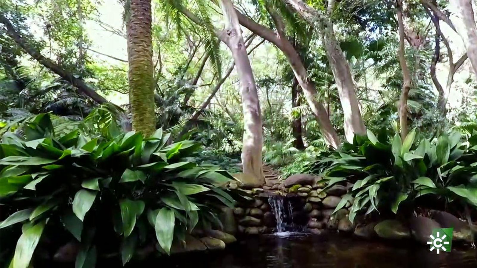 El Jardín Botánico de Málaga atesora más de tres mil especies de plantas de todo el mundo
