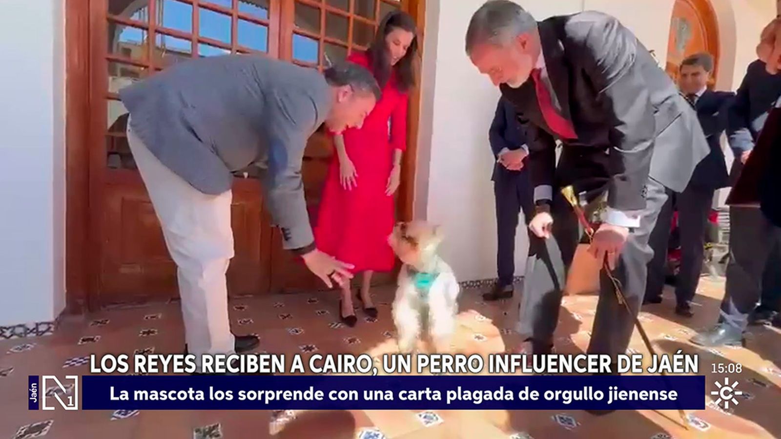 Cairo el perro influencer con los reyes