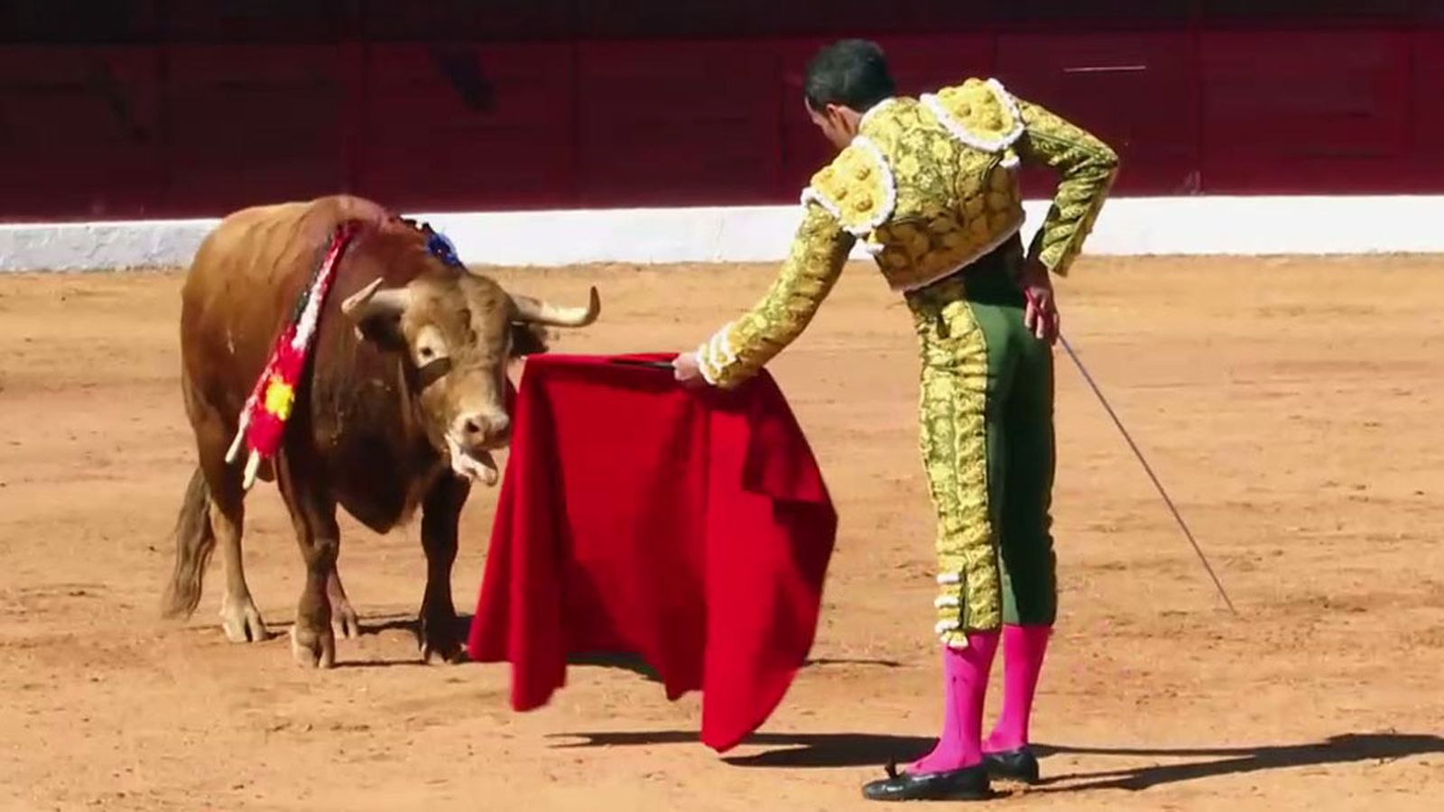 David de Miranda se lleva nuestro Orobroy por su faena en Olivenza
