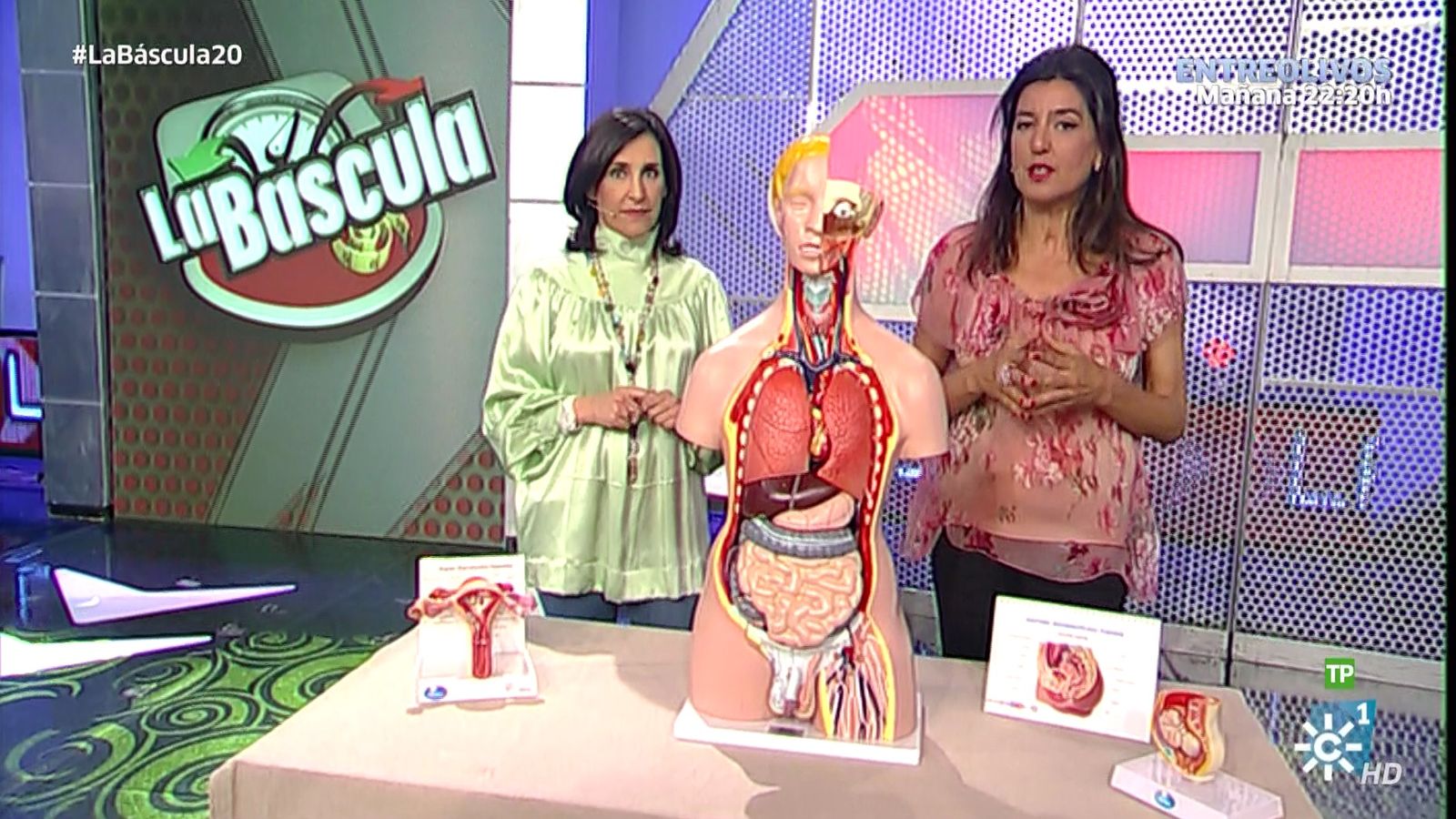 La báscula obesidad vs sexo