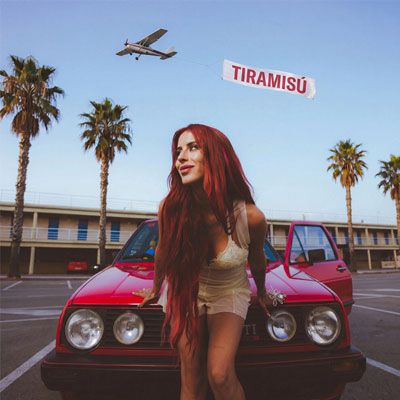 Vicco  Tiramisú