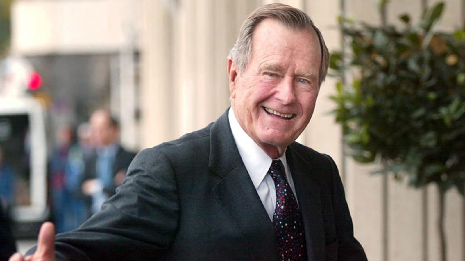 bush