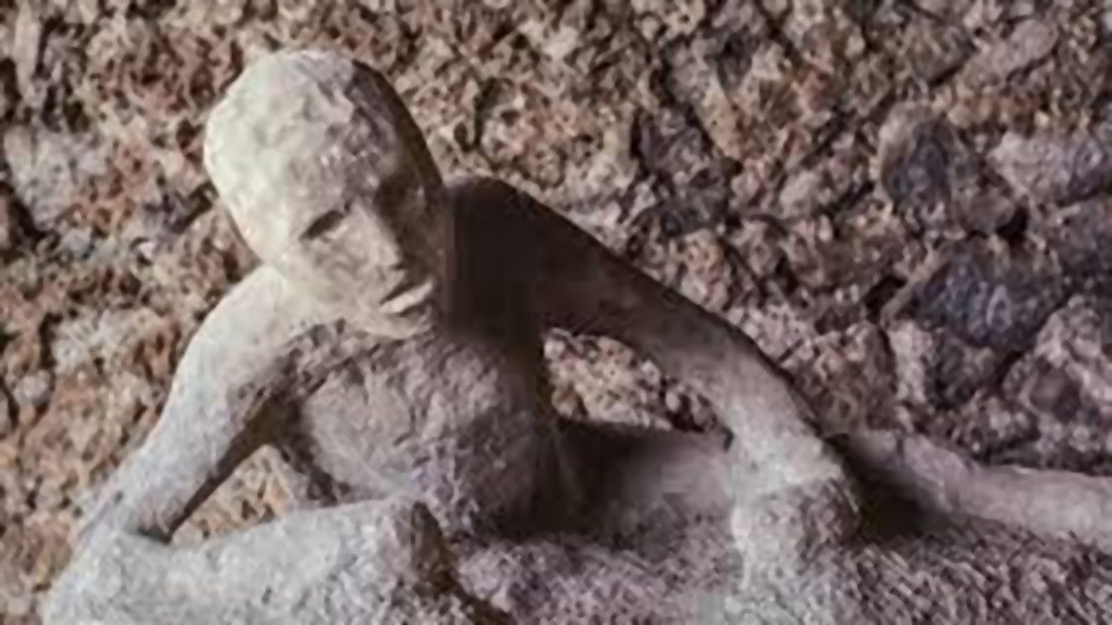 ENRIQUE N 5