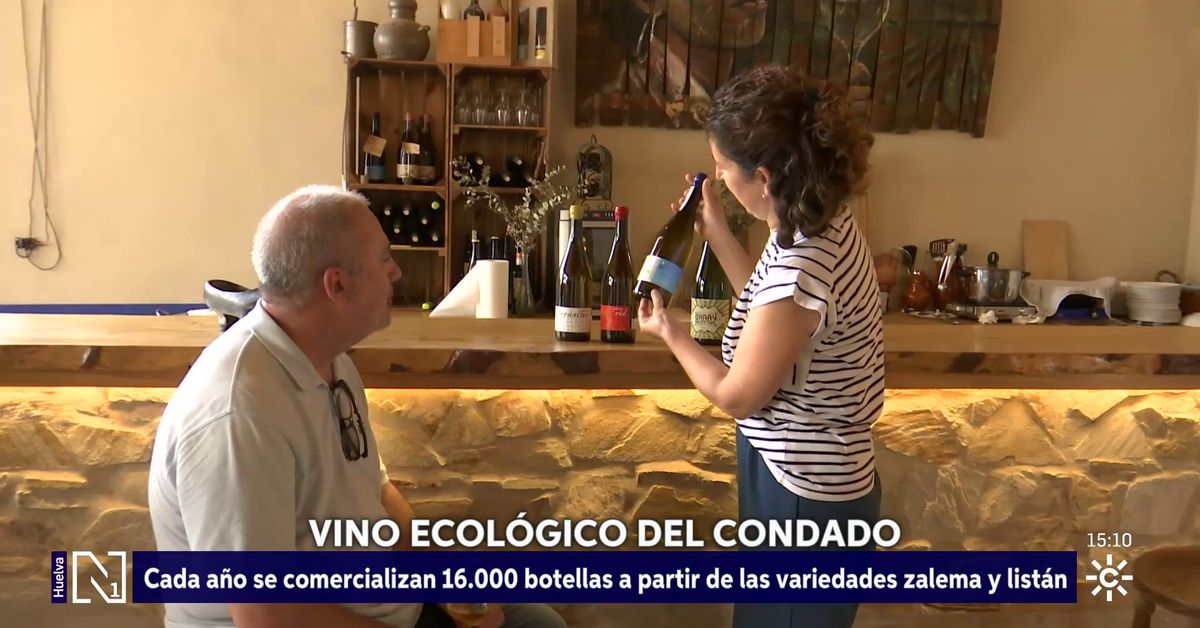 El vino ecológico procedentes de La Palma del Condado se hace un hueco en el mercado nacional