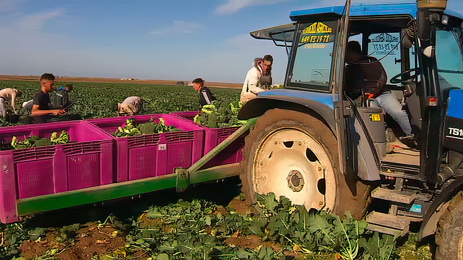 Expertos reflexionan sobre la situación del campo