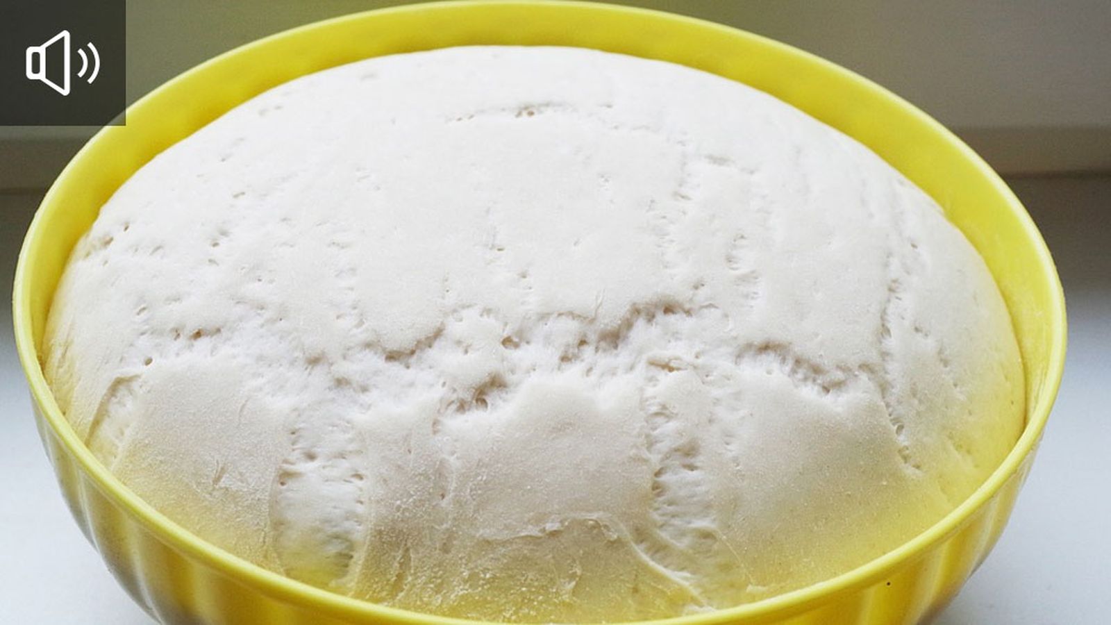 Alimentos fermentados