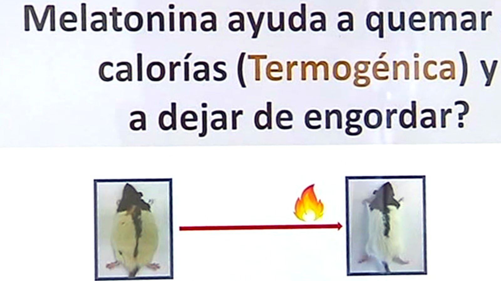 ConCiencia 15/06/18