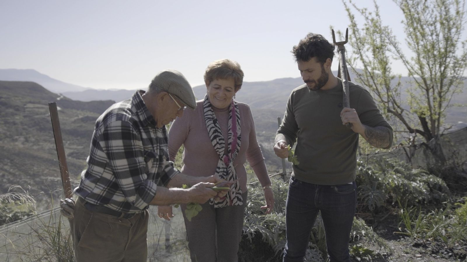 Tierra de sabores 2, 14 abril