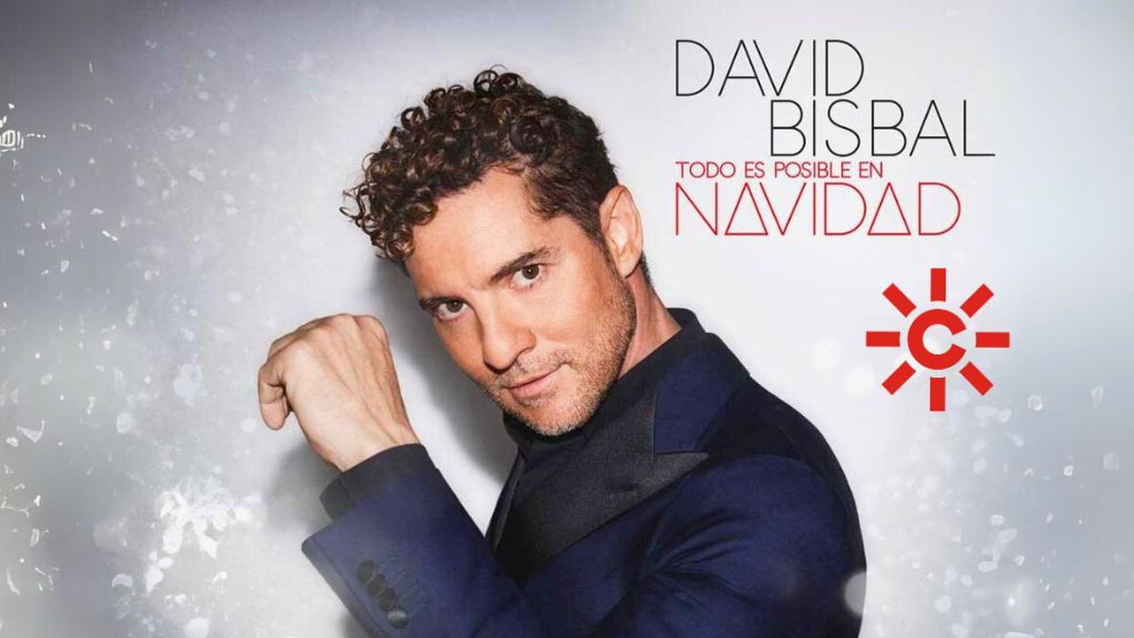 David Bisbal