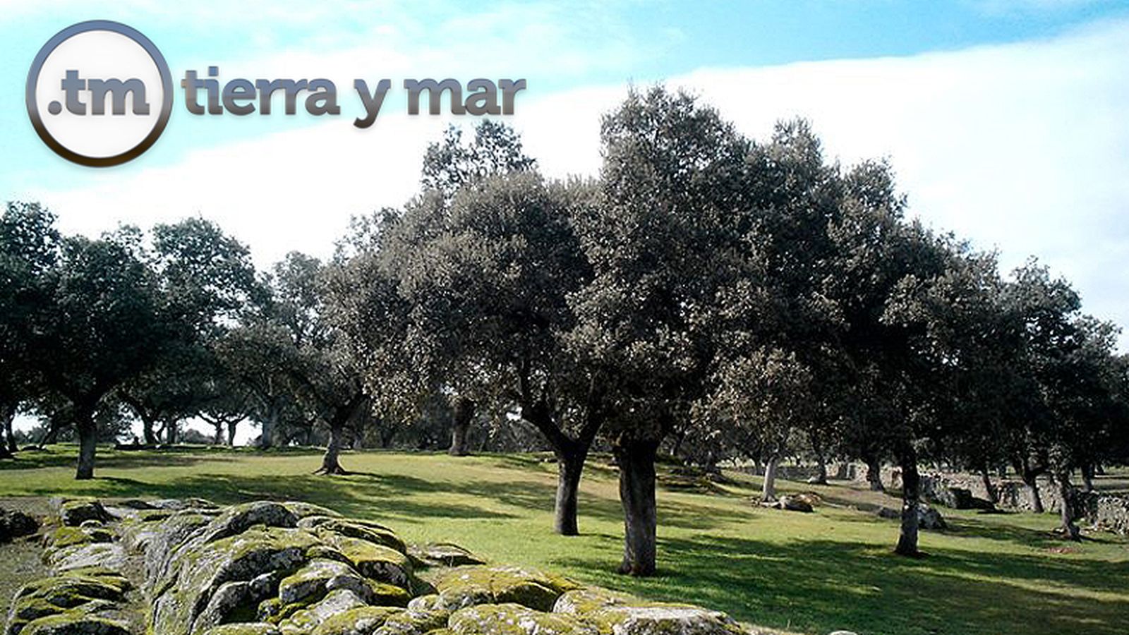 Tierra y Mar comunicación Foto