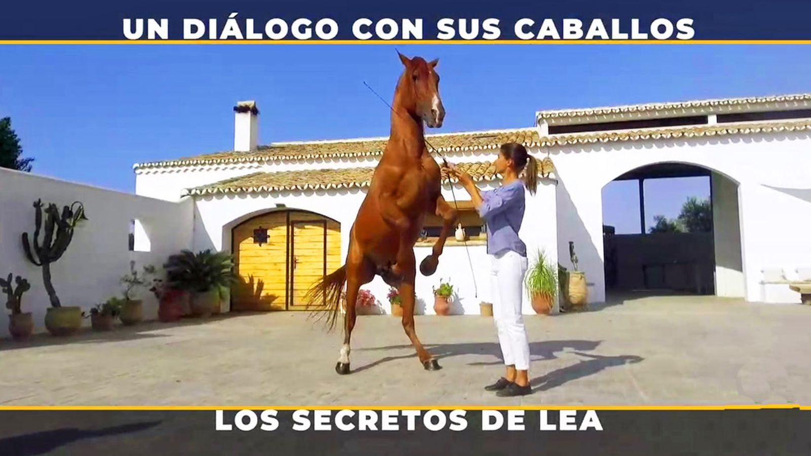 Lea:" la mujer que susurraba a los caballos"