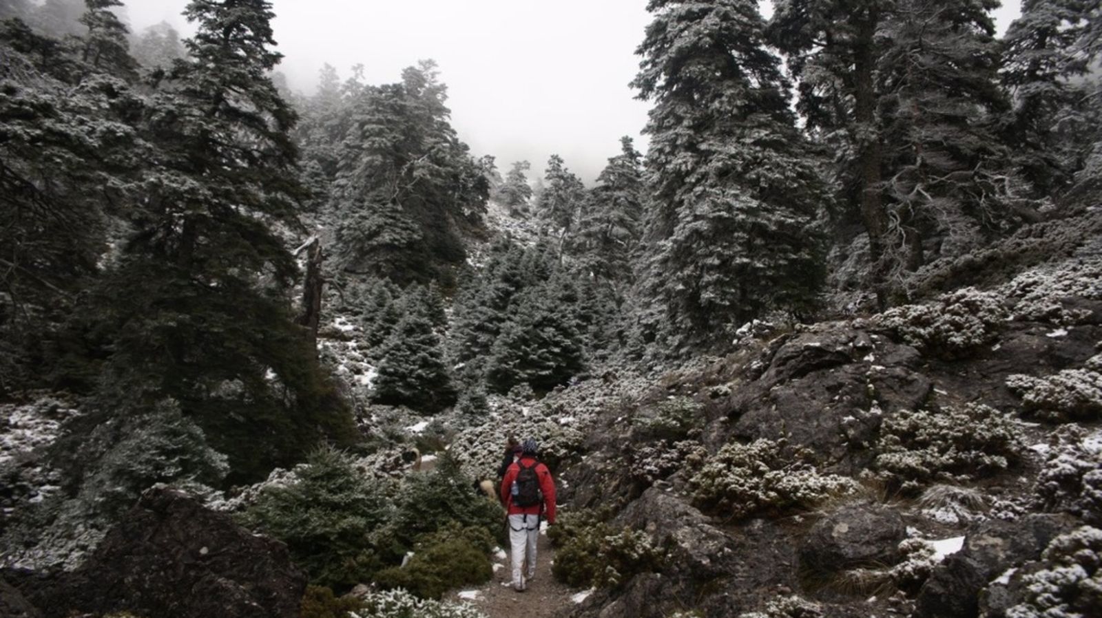 Sierra de las Nieves