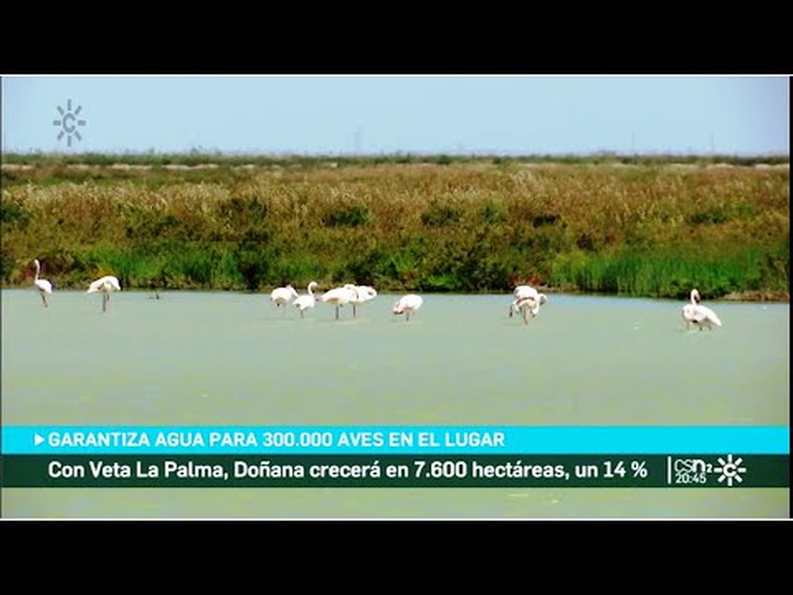 Agua para Doñana: el espacio natural Veta la Palma, un humedal, amplia Doñana y garantiza agua