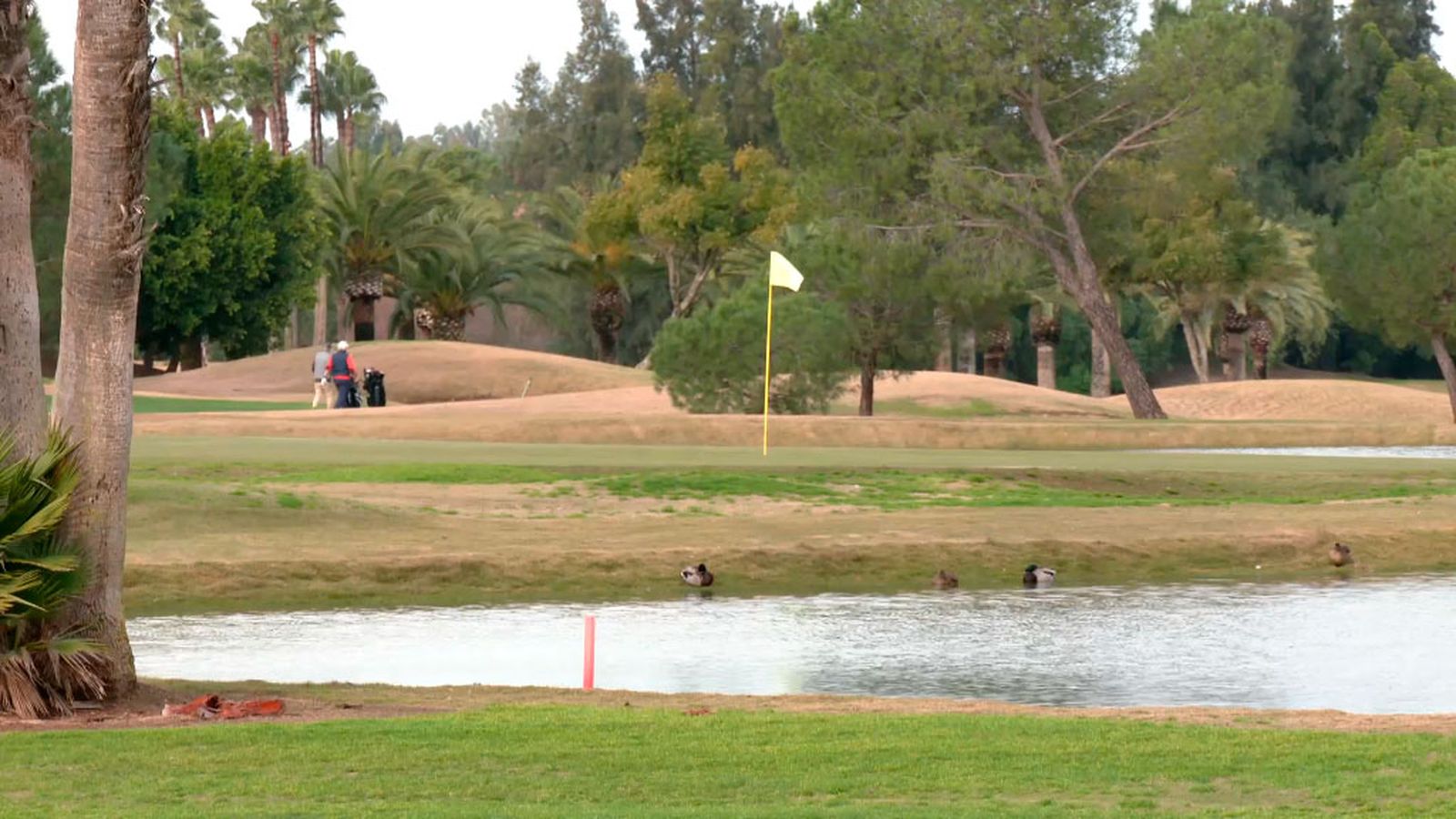 El primer campo de golf que edita su guía de aves
