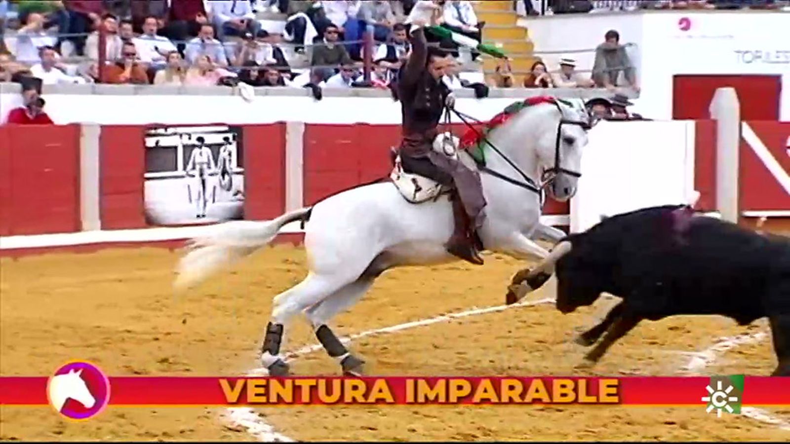 Diego Ventura, auténtico artista a caballo, corta tres orejas en Pozoblanco