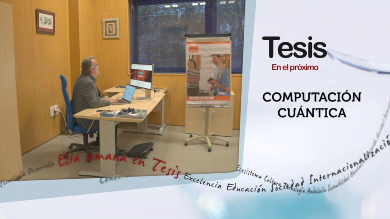 tesis canal sur