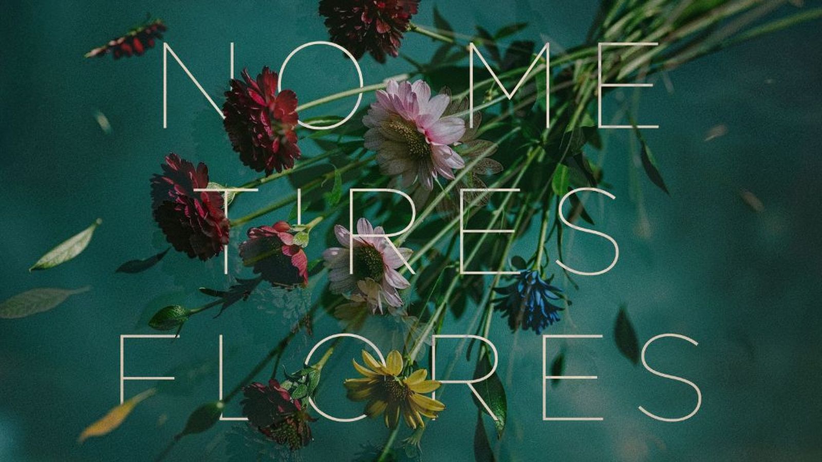 No me tires flores, Alejandro Sanz Rels B