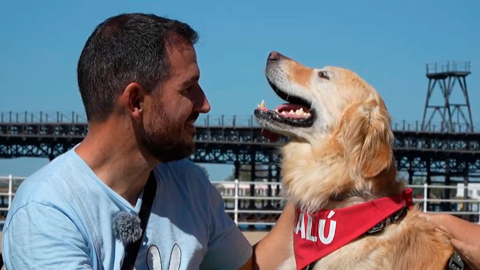 Balú, un influencer de cuatro patas con miles de seguidores
