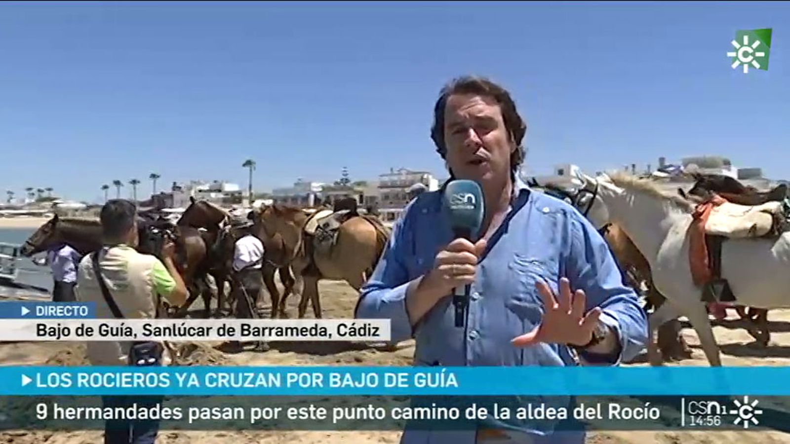Cruce de Hermandades a Doñana por Bajo de Guía