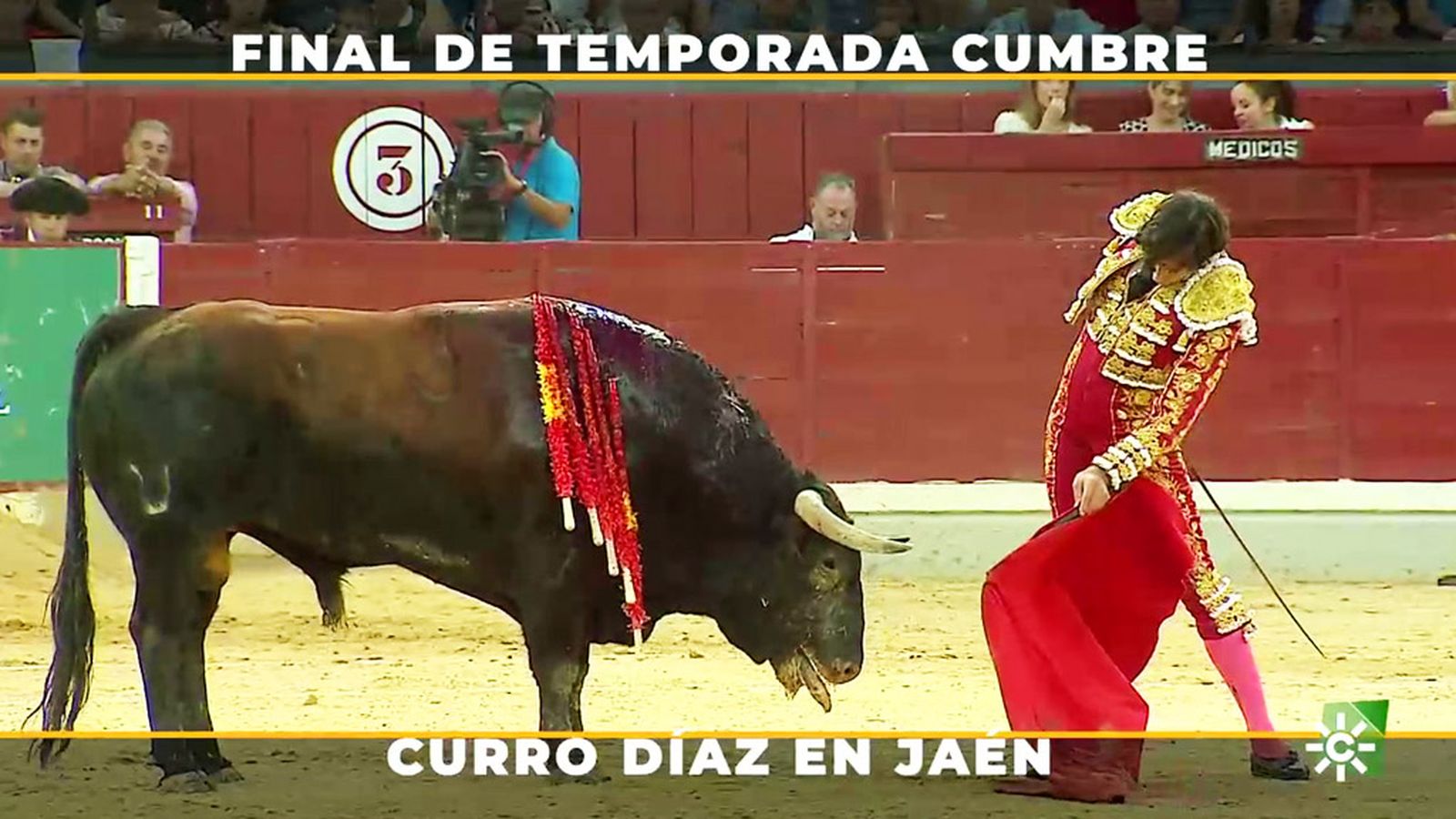 Espectacular faena de Curro Díaz en Jaén