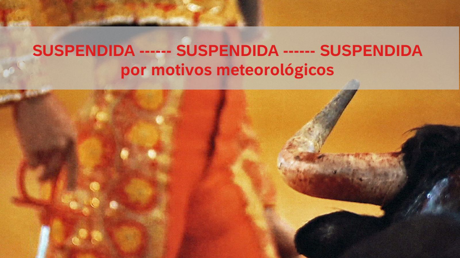TOROS NOVILLADAS SUSPENDIDA
