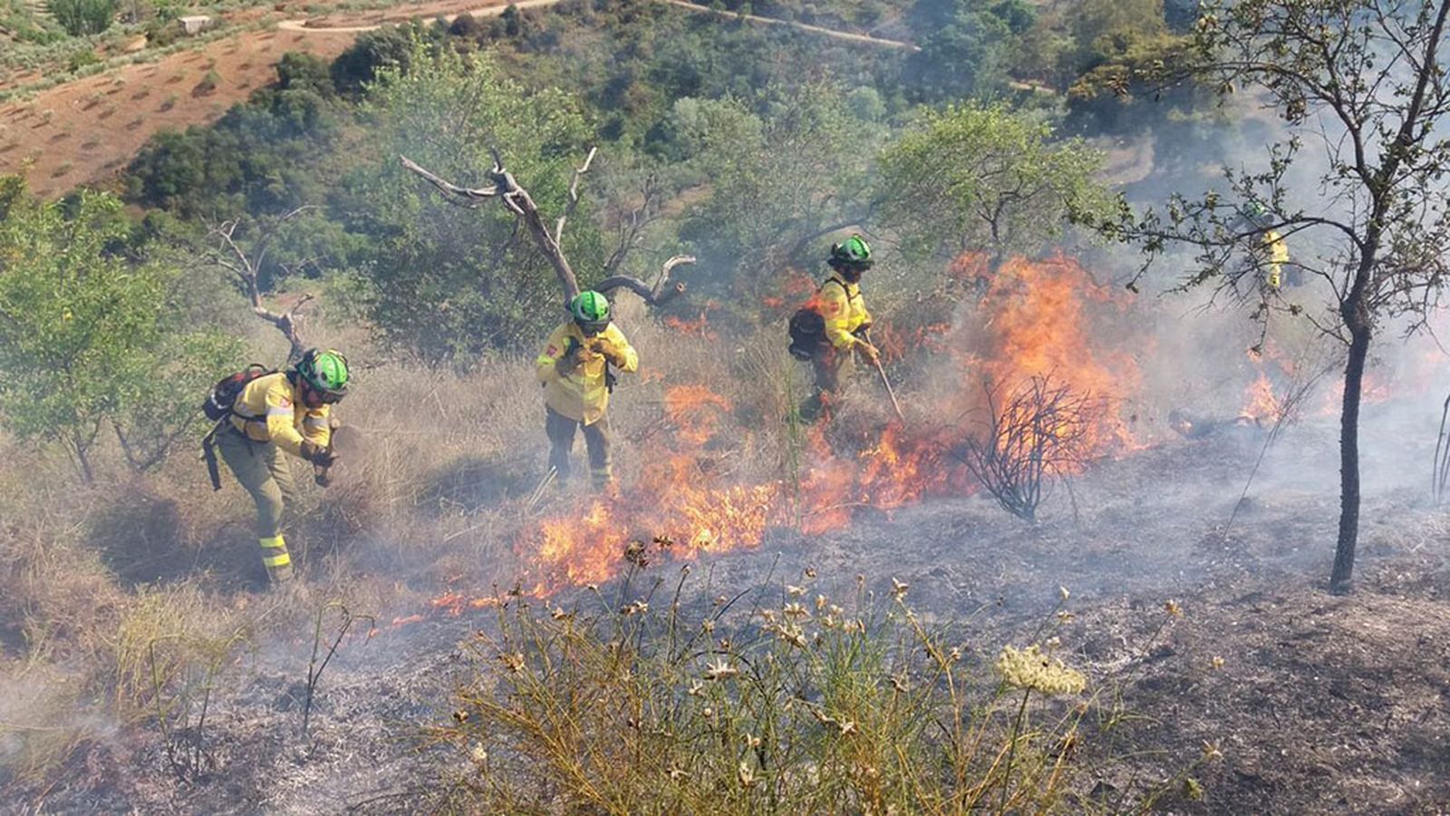 INCENDIO 1024