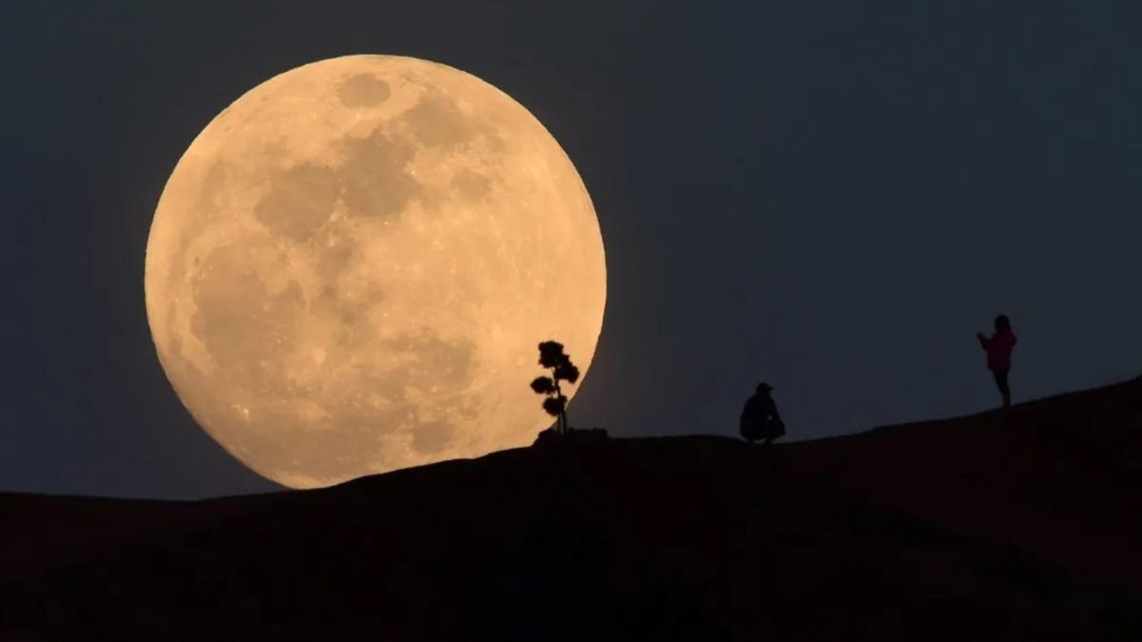 ConCiencia luna