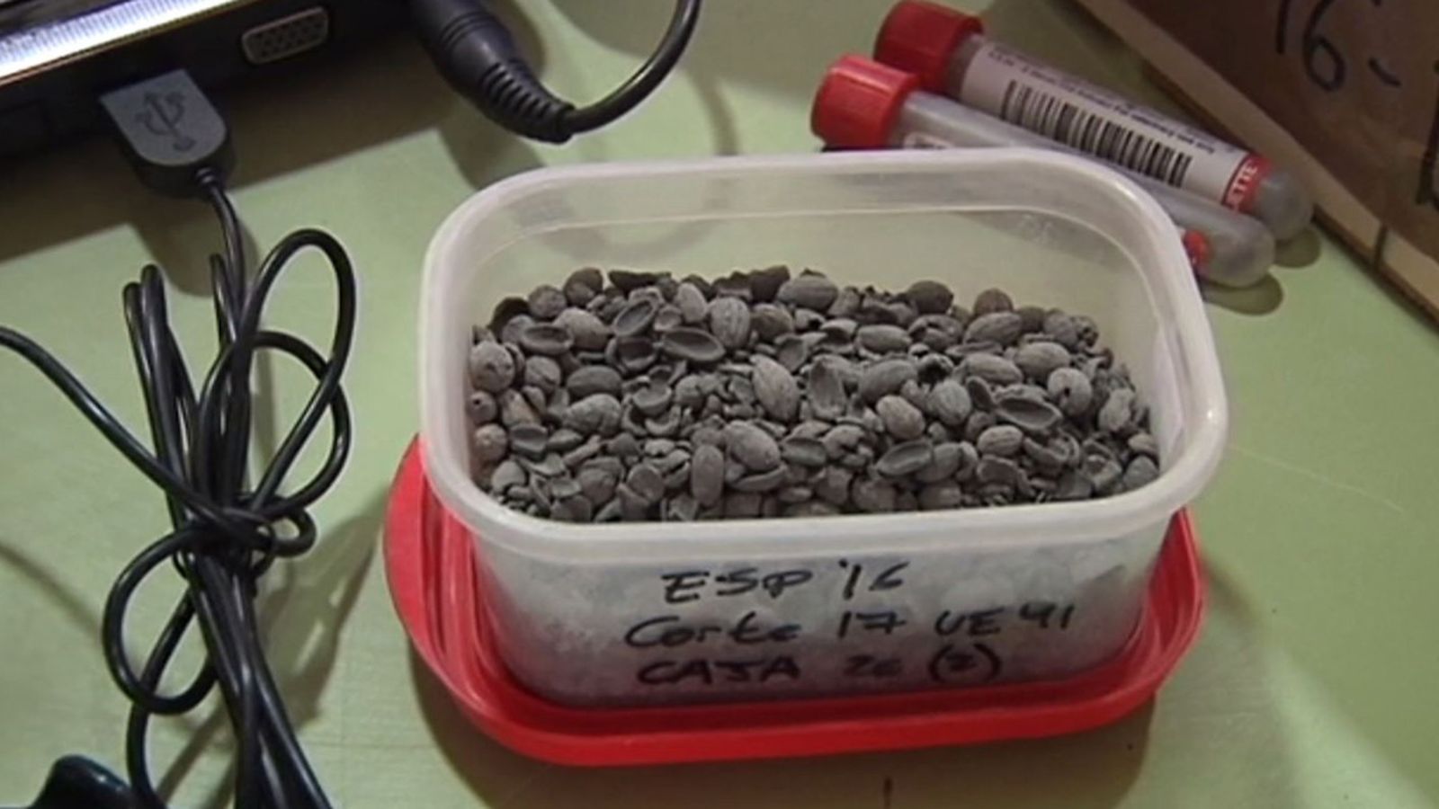 captura aceitunas yacimiento jaen 1024