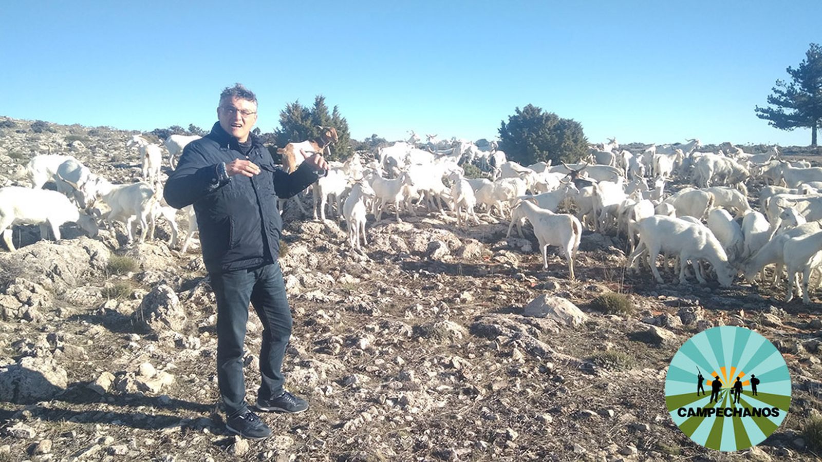 Campechanos, 4 de mayo (comu)