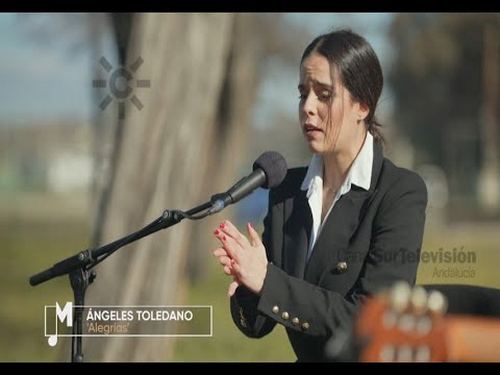 Ángeles Toledano canta por  Alegrías | Flamenco en Canal Sur