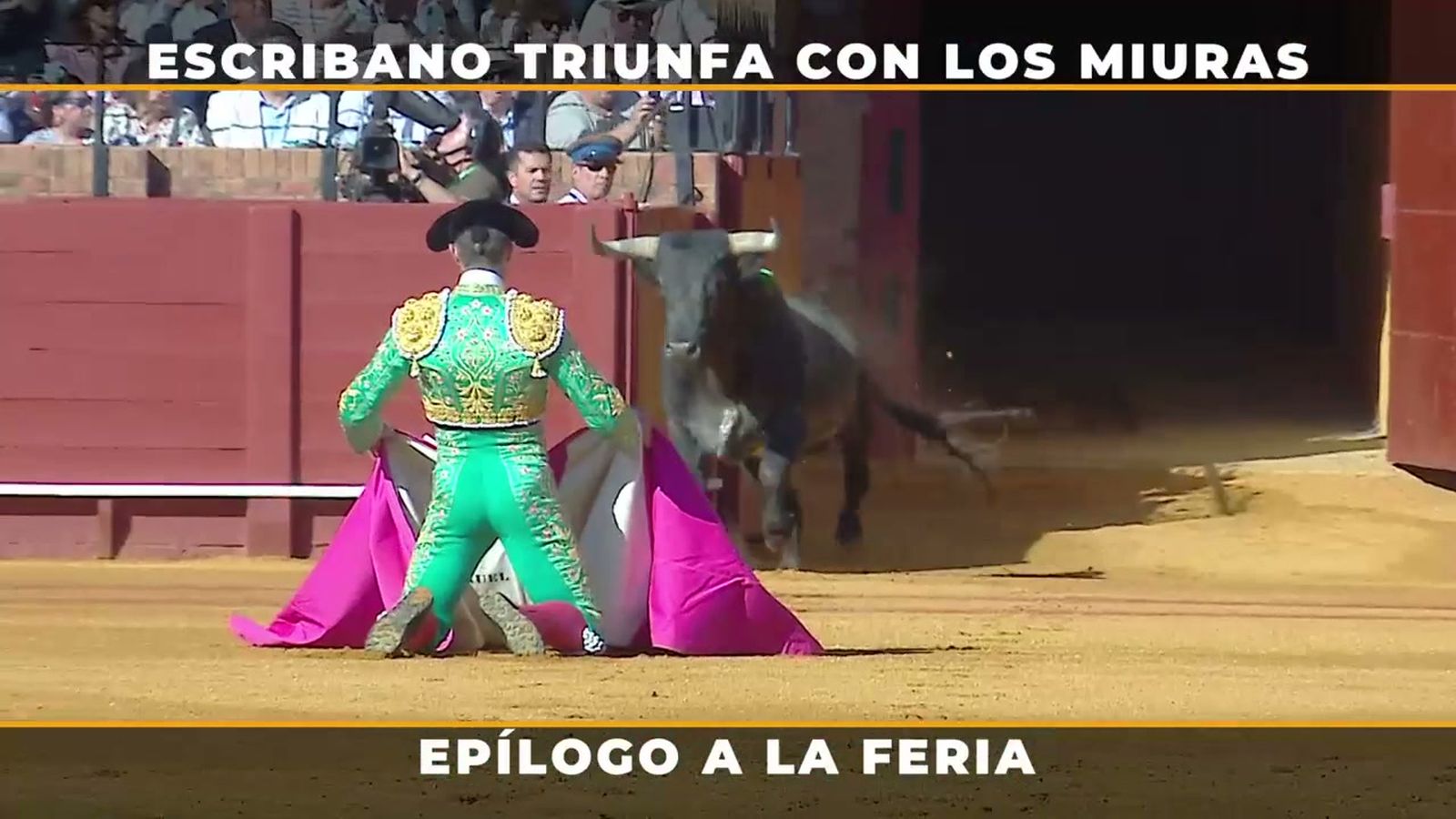 Manuel Escribano merece el Orobroy por su lucha contra los miuras en La Maestranza