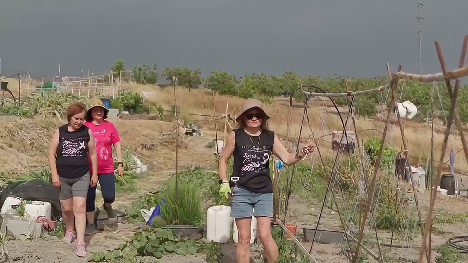 Los huertos sociales aportan buena alimentación... y mucho más