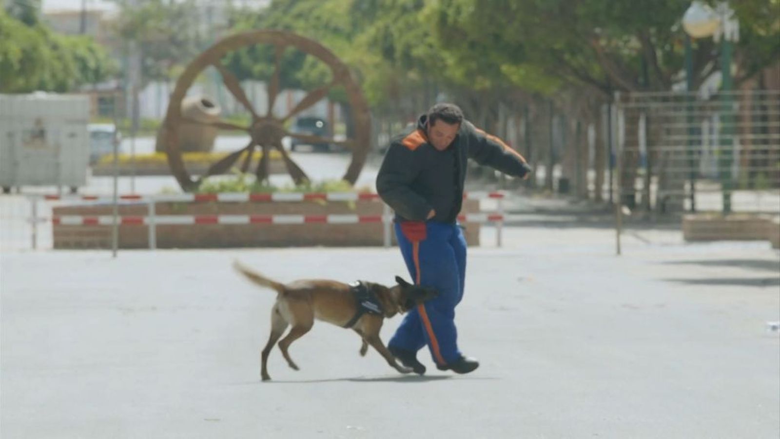 Entre compadres perros policías Tapa