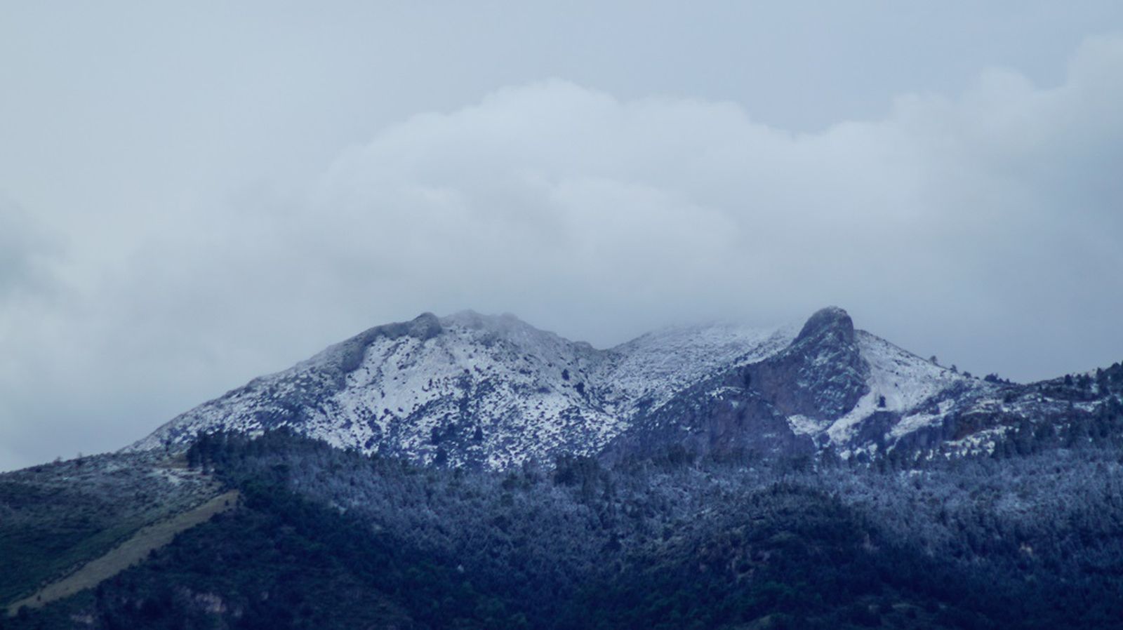Sierra de las Nieves 1024
