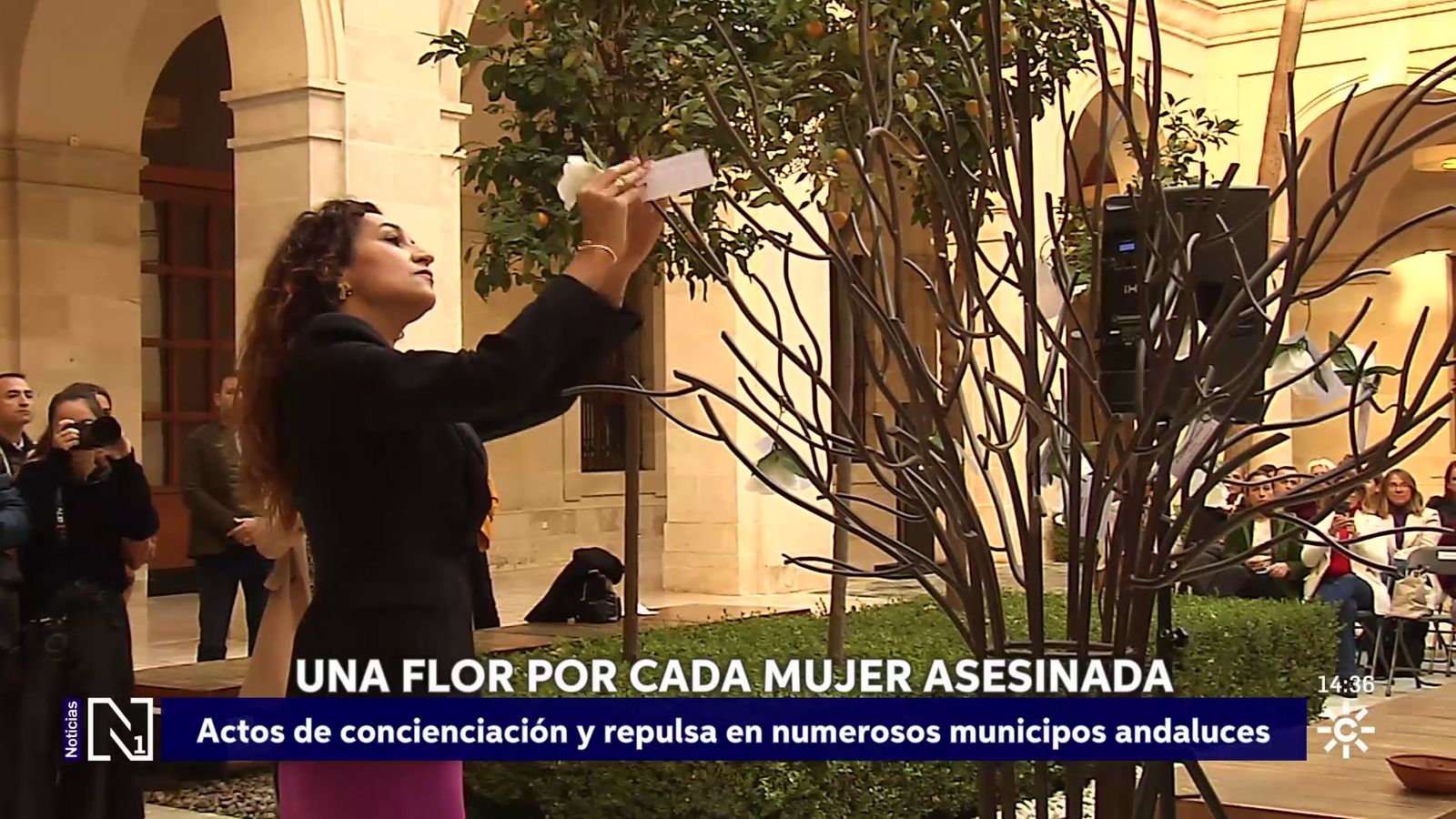 Actos por el 25N