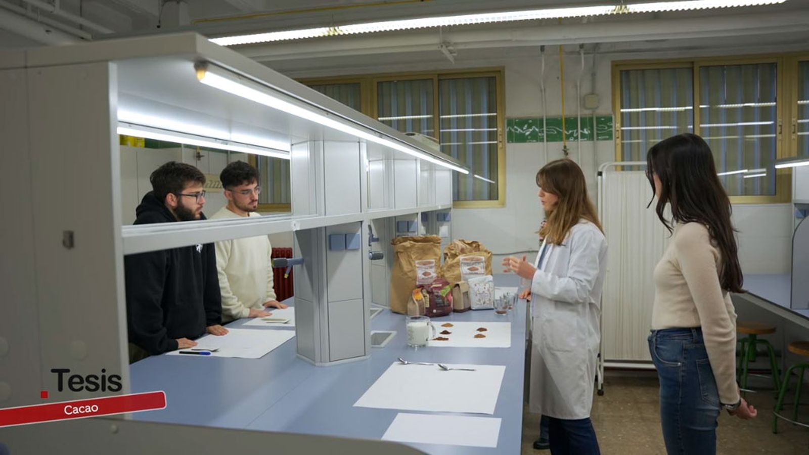 El cacao, un aliado del cerebro