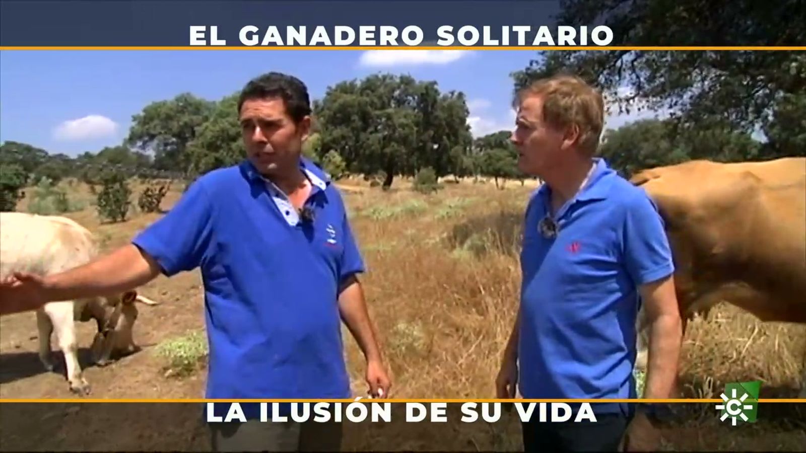 Justo Barba, el sueño romántico de ser ganadero llevando la empresa en solitario