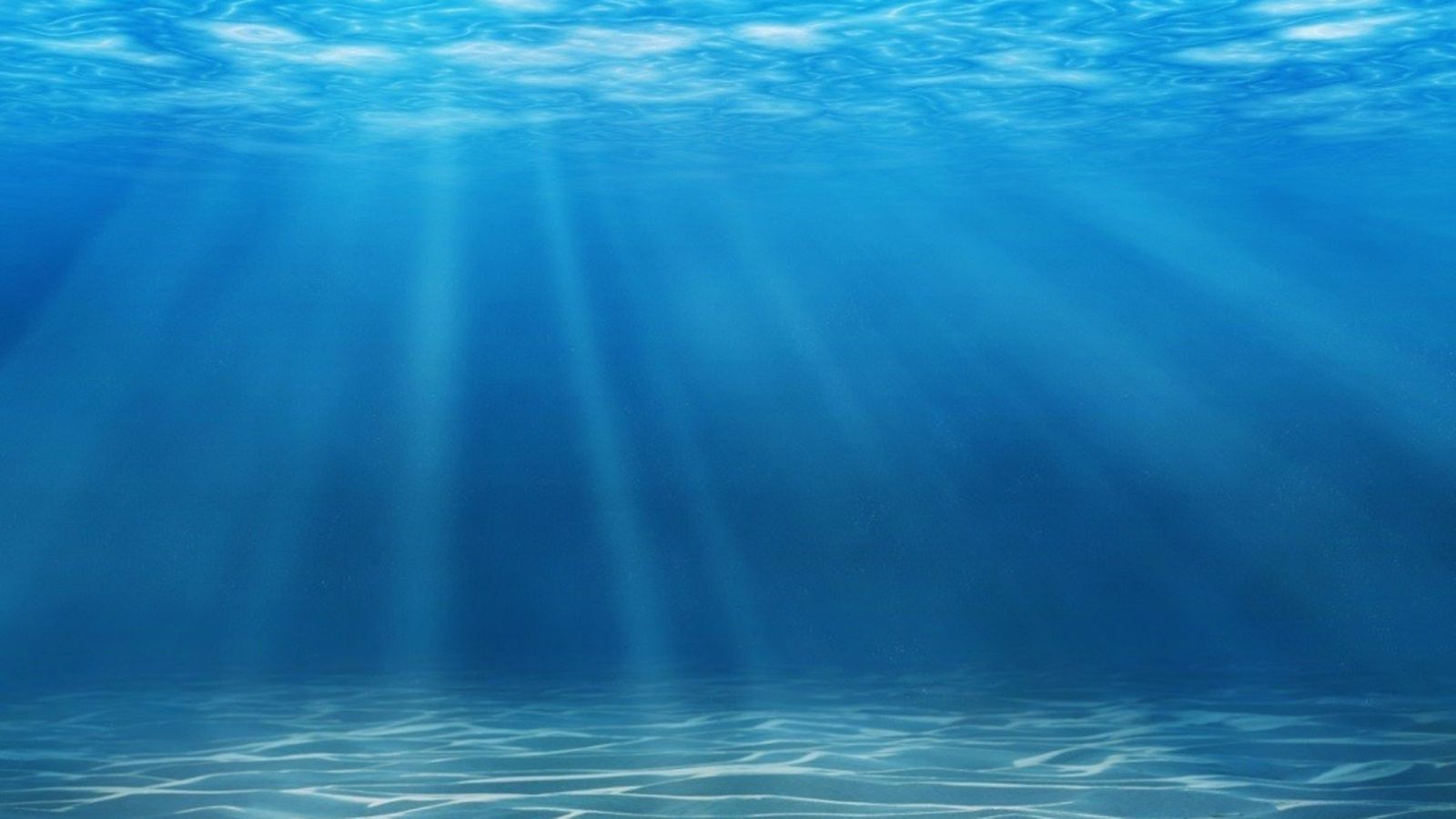05/09 Mare Nostrum docu