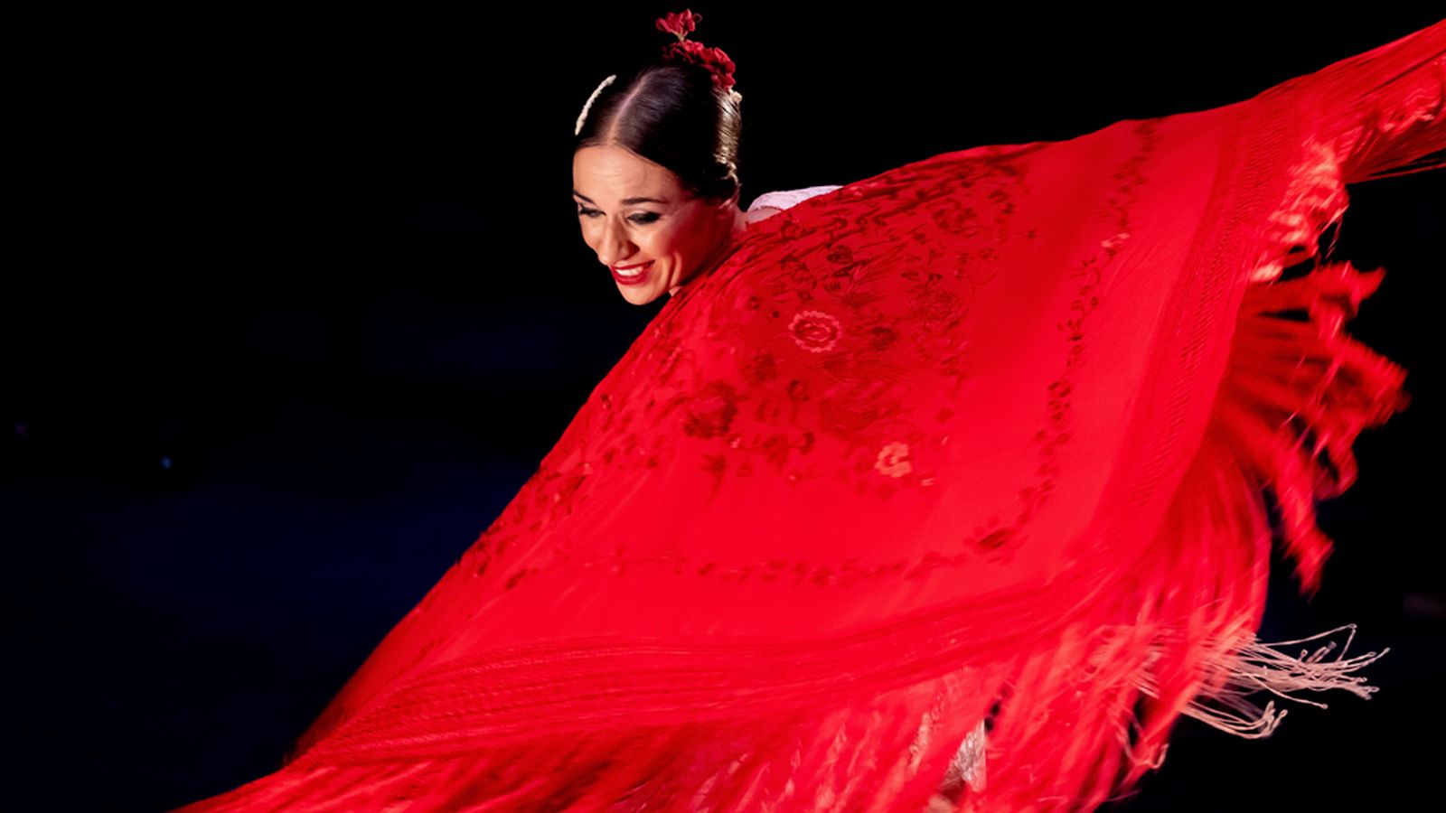 foto flamenco rojo