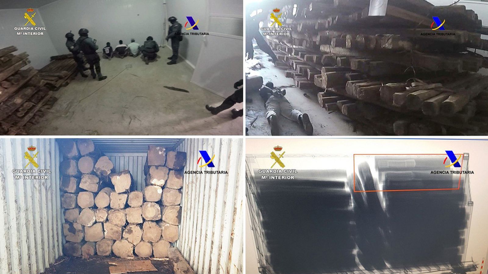 Cocaína troncos operación Algeciras