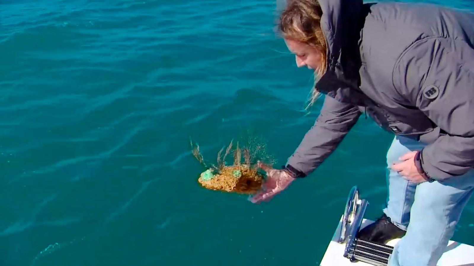 Recuperar corales y gorgonias atrapados en las redes de pesca