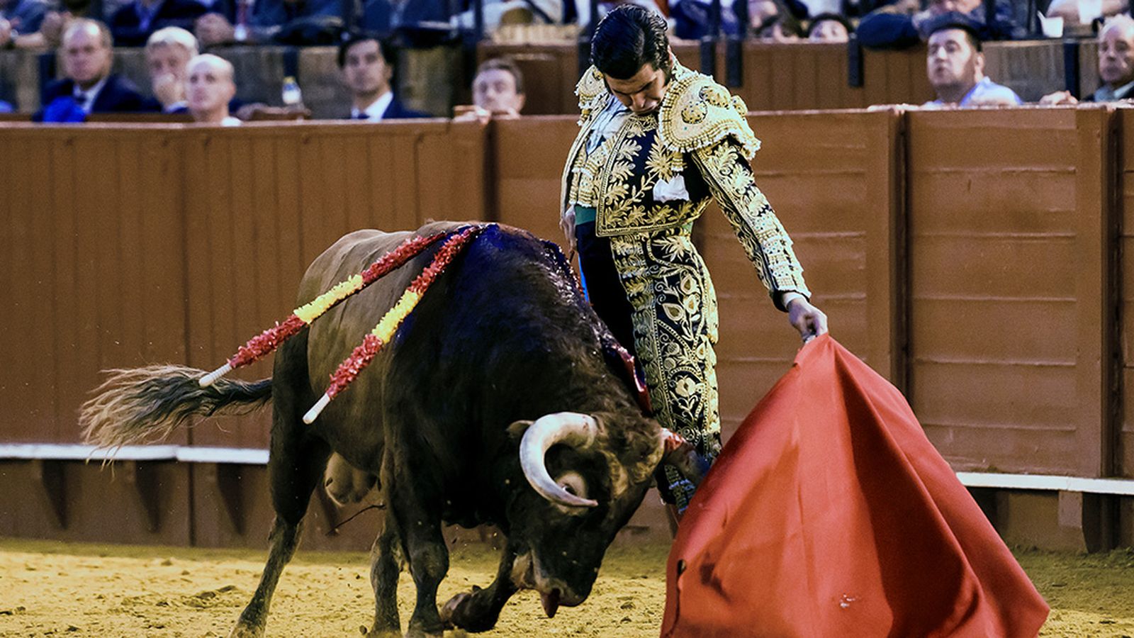 Corrida maestranza