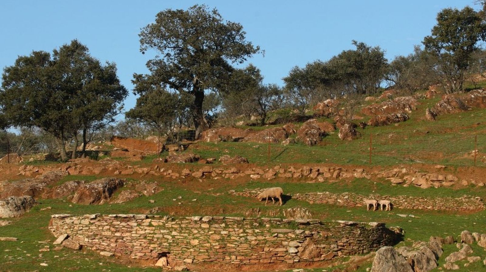 Destino Andalucía