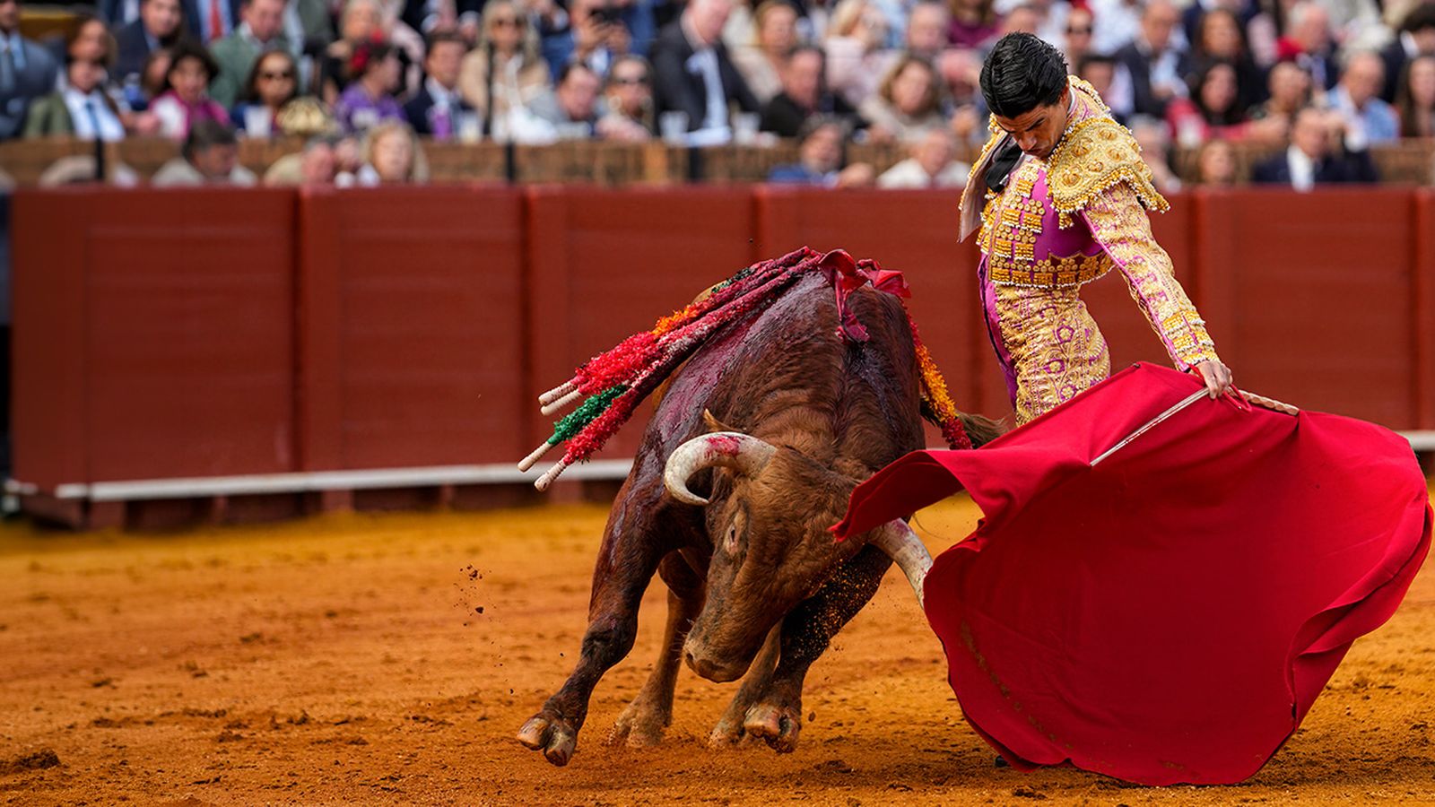 Toros desde Almería en Canal Sur